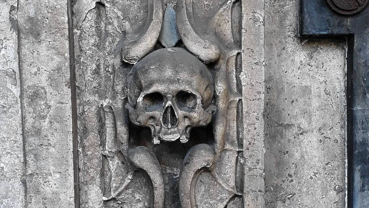 Totenkopf mit Fledermausflügeln.  