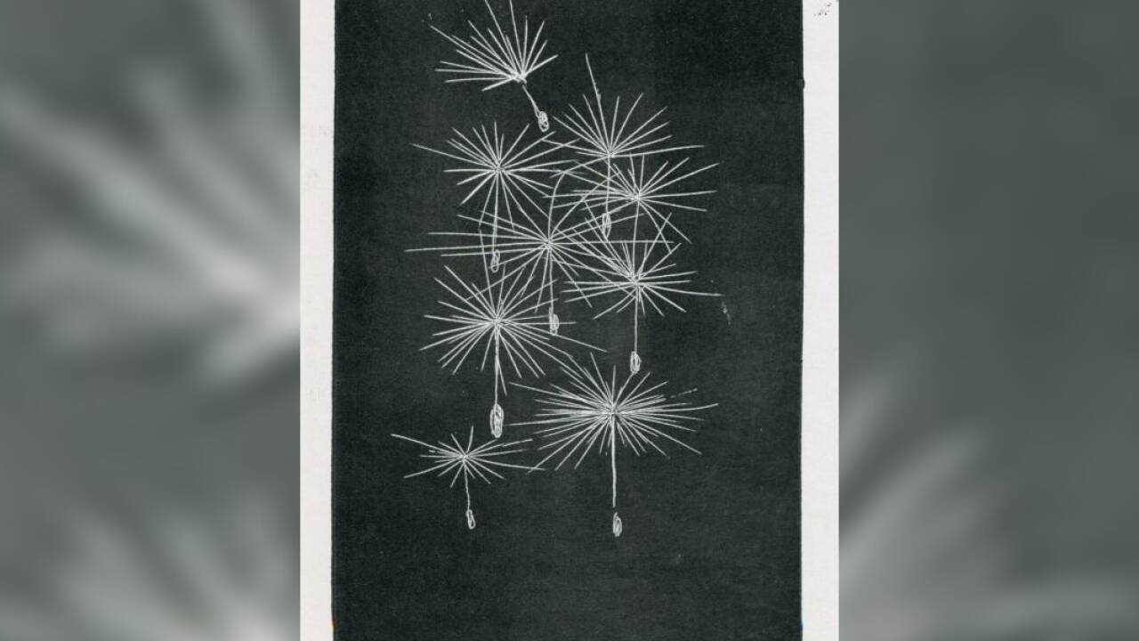 Otte, Werner, Löwenzahnsamen im flug oder Feuerwerk, 1963-64, Zinkätzung auf Papier, 12, x 7,8 cm, Besitz Salzburg Museum 
