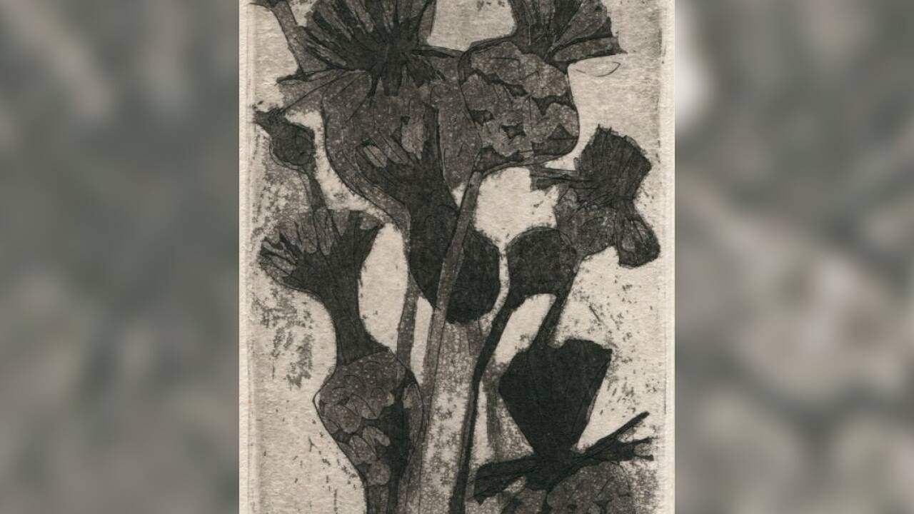 Otte, Werner, Mohnkapseln, 1965, Ätzradierung auf Papier, 12,3 x 7,7 cm, Besitz Salzburg Museum 