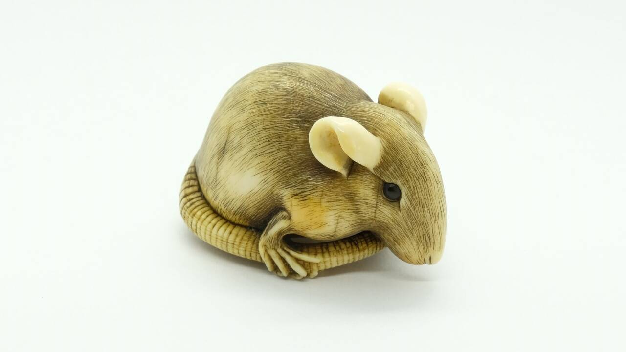 Eine Ratte (Kyoto, um 1800). 