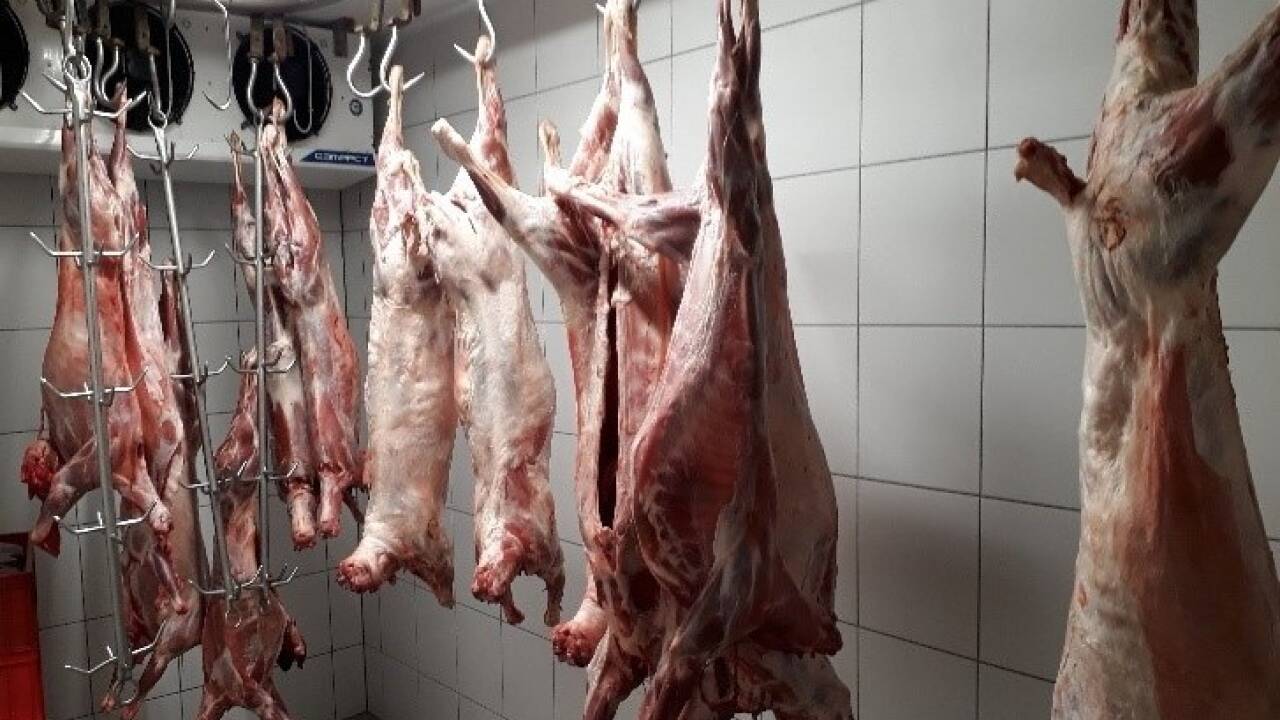 Bis zu 30 Tiere wurden pro Woche geschlachtet und verarbeitet. 