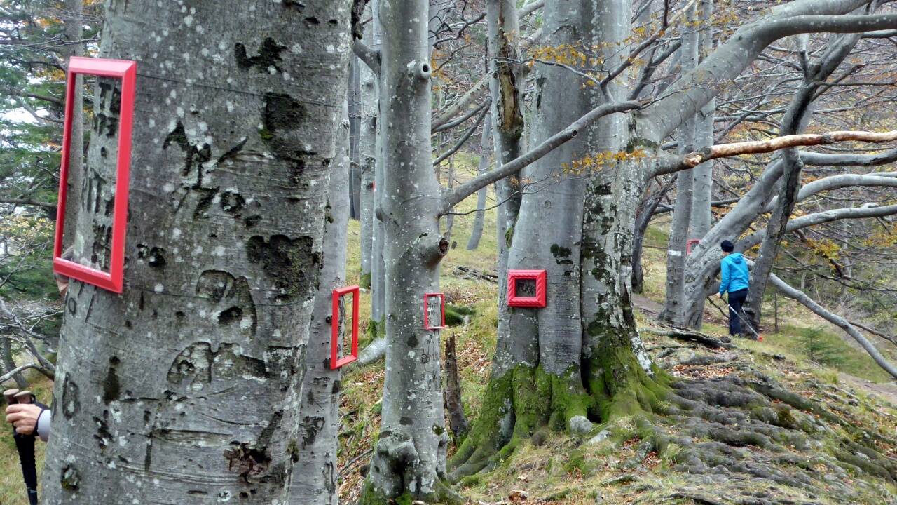 Gute Rahmenbedingungen am Nocksteinkamm für kunstinteressierte Wanderer.Christian Heugl Gute Rahmenbedingungen am Nocksteinkamm für kunstinteressierte Wanderer.Christian Heugl