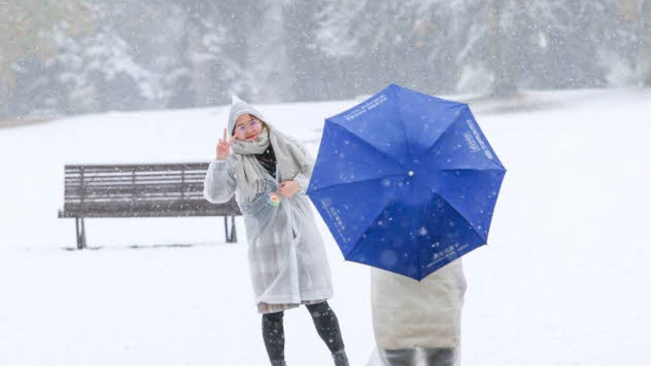 Auch in der Stadt Salzburg waren die Wiesen und Parks am Mittwochvormittag schneebedeckt. Auch in der Stadt Salzburg waren die Wiesen und Parks am Mittwochvormittag schneebedeckt.