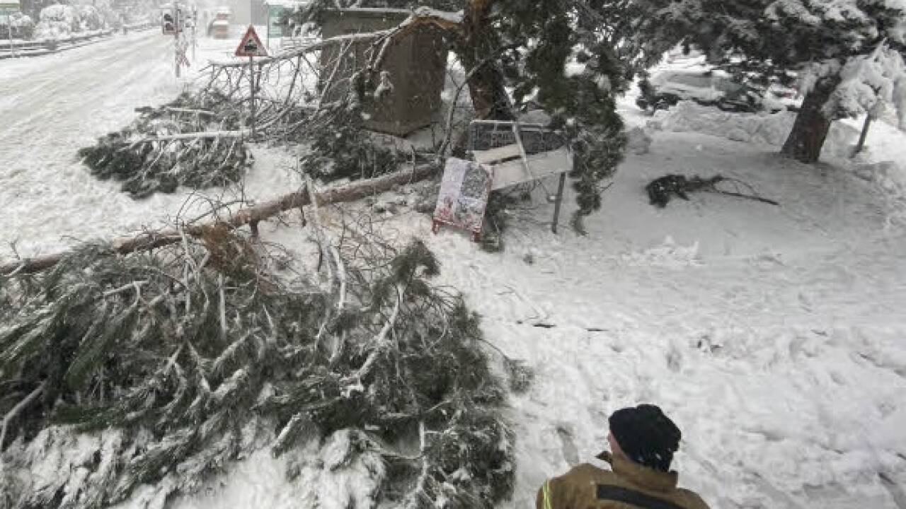 Die Feuerwehr musste am Mittwoch im Lungau zahlreiche umgestürzte Bäume von Fahrbahnen entfernen. Die Feuerwehr musste am Mittwoch im Lungau zahlreiche umgestürzte Bäume von Fahrbahnen entfernen.