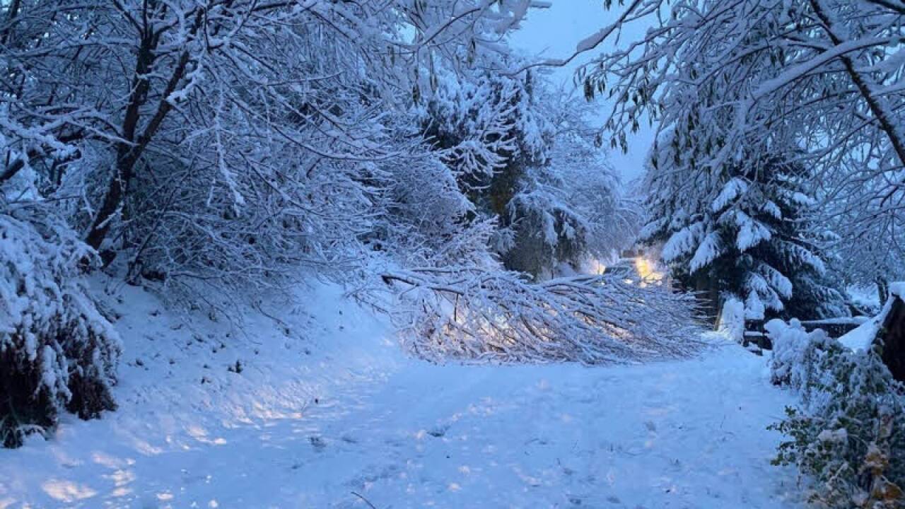 Umgestürzte Bäume führten zu etlichen Straßensperren im Lungau. Umgestürzte Bäume führten zu etlichen Straßensperren im Lungau.