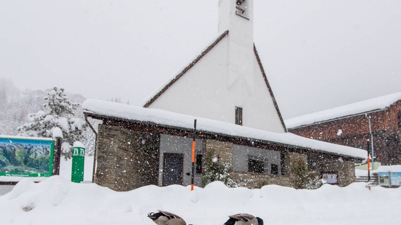 Extreme Schneefälle in Kals in Osttirol. Extreme Schneefälle in Kals in Osttirol.