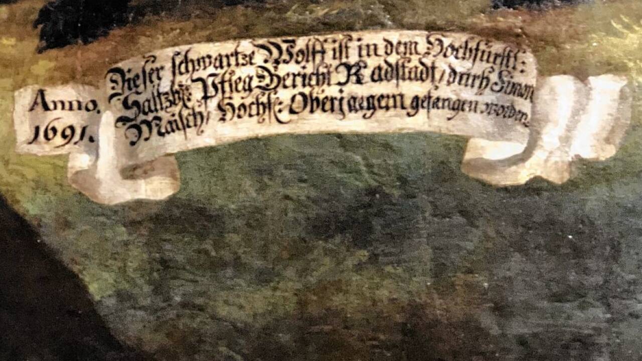 Die Inschrift unter dem schwarzen Wolf gibt Auskunft, dass das Tier anno 1691 im Raum Radstadt von Oberjäger Simon Maisch gefangen wurde.  