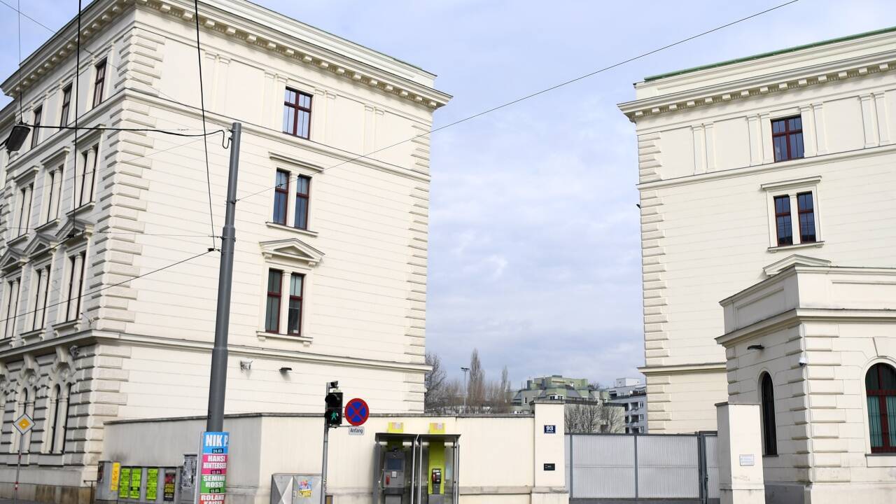 Da Pferde selbst in Niederösterreich kein Parteibuch haben, können sie leider nicht zum Bundesamt für Verfassungsschutz und Terrorismusbekämpfung (BVT) wechseln.  