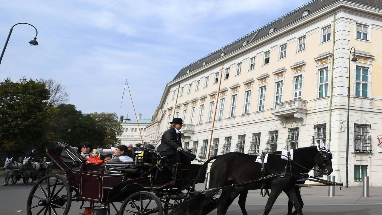 Die Grünen wollen die Pferde als umweltschonenden Antrieb für CO2-ausstoßarme Minister-Dienstfahrzeuge. 