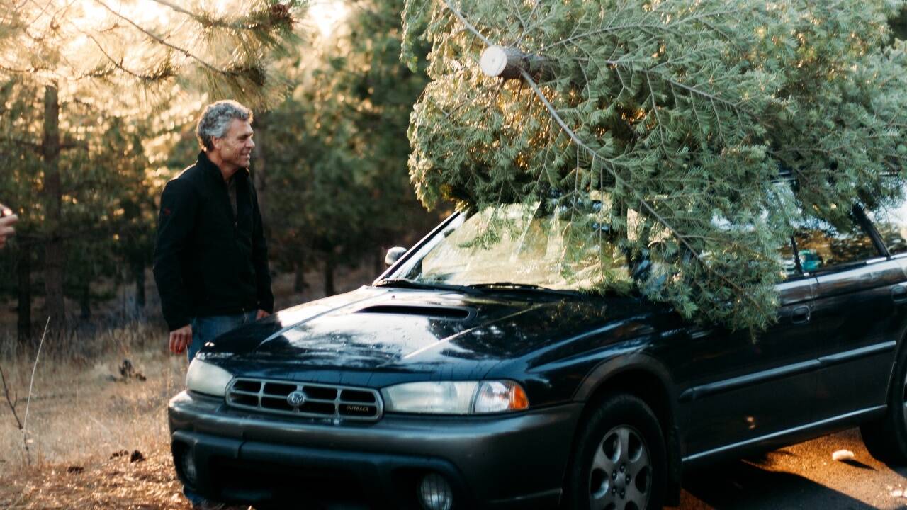 Mit dem Auto den Weihnachtsbaum transportieren