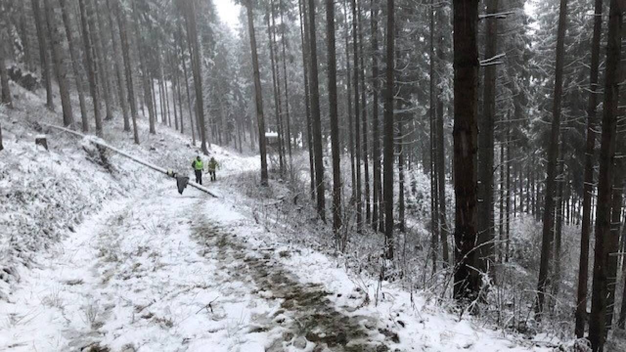 Ein Kleinflugzeug stürzte in Bruck an der Glocknerstraße ab. Am Sonntag barg die Feuerwehr das Unfallwrack. 