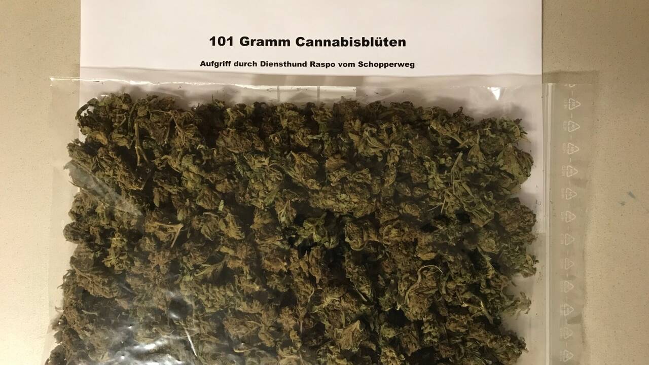 Die Beamten der PI Hallein stellten 101 Gramm Cannabisblüten sicher.  