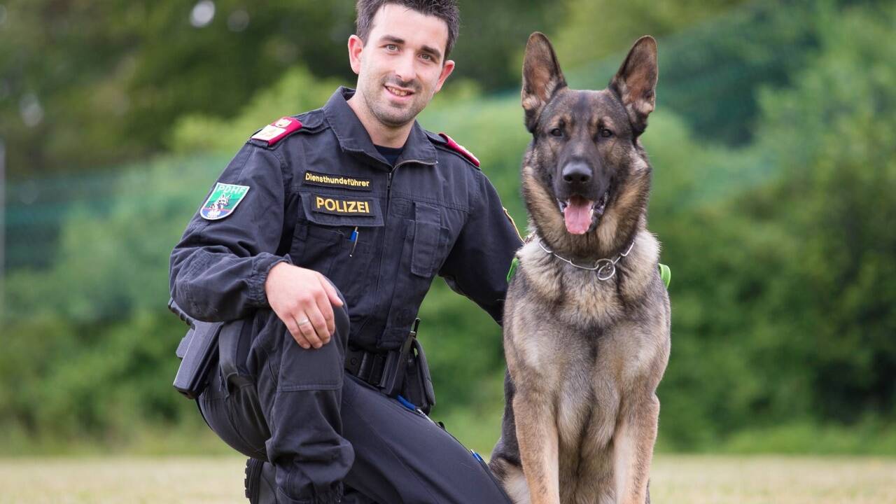 Erfolgreiches Duo: Diensthundeführer Bernhard Brüggler mit seinem Spezialschnüffler „Raspo vom Schopperweg“. 