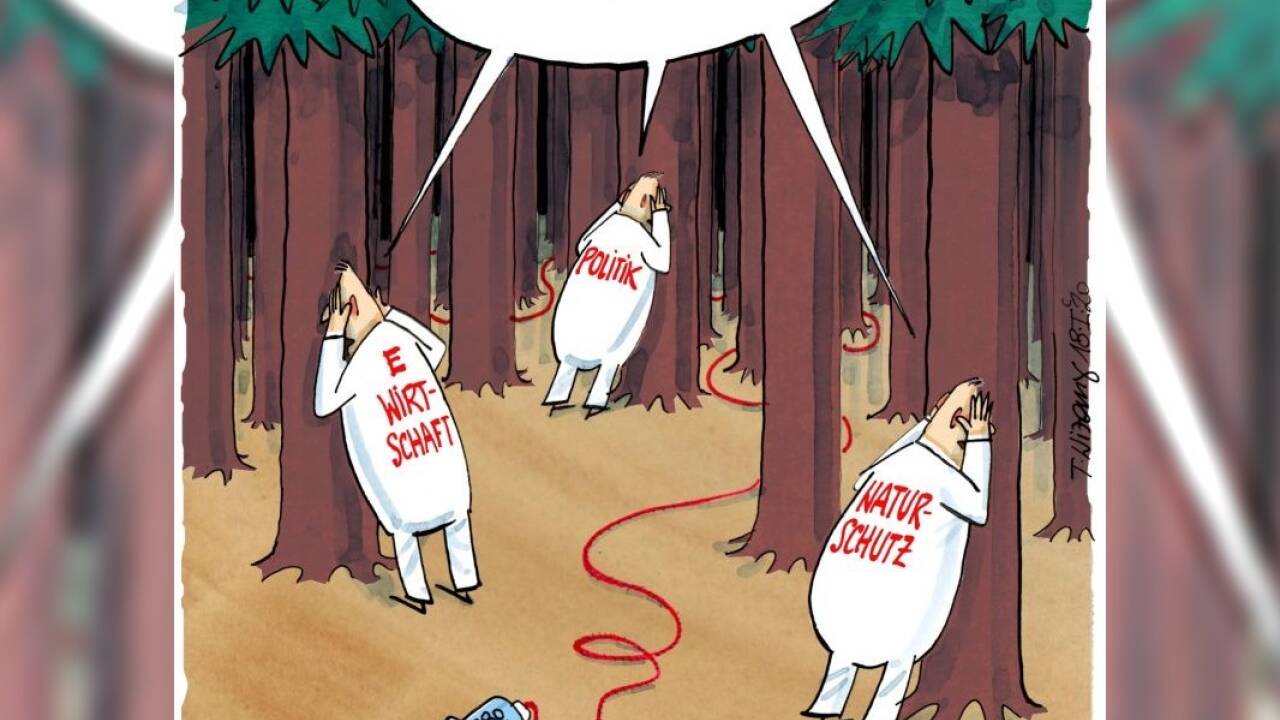 Im Energiewirtschaftswald . . . 