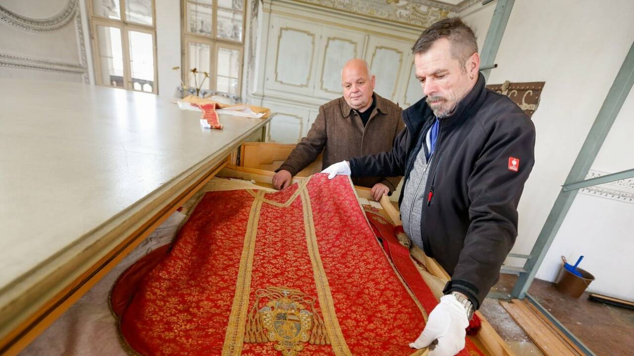 Motten im Dom: Salzburger liefern Tipps für Hausmittel
