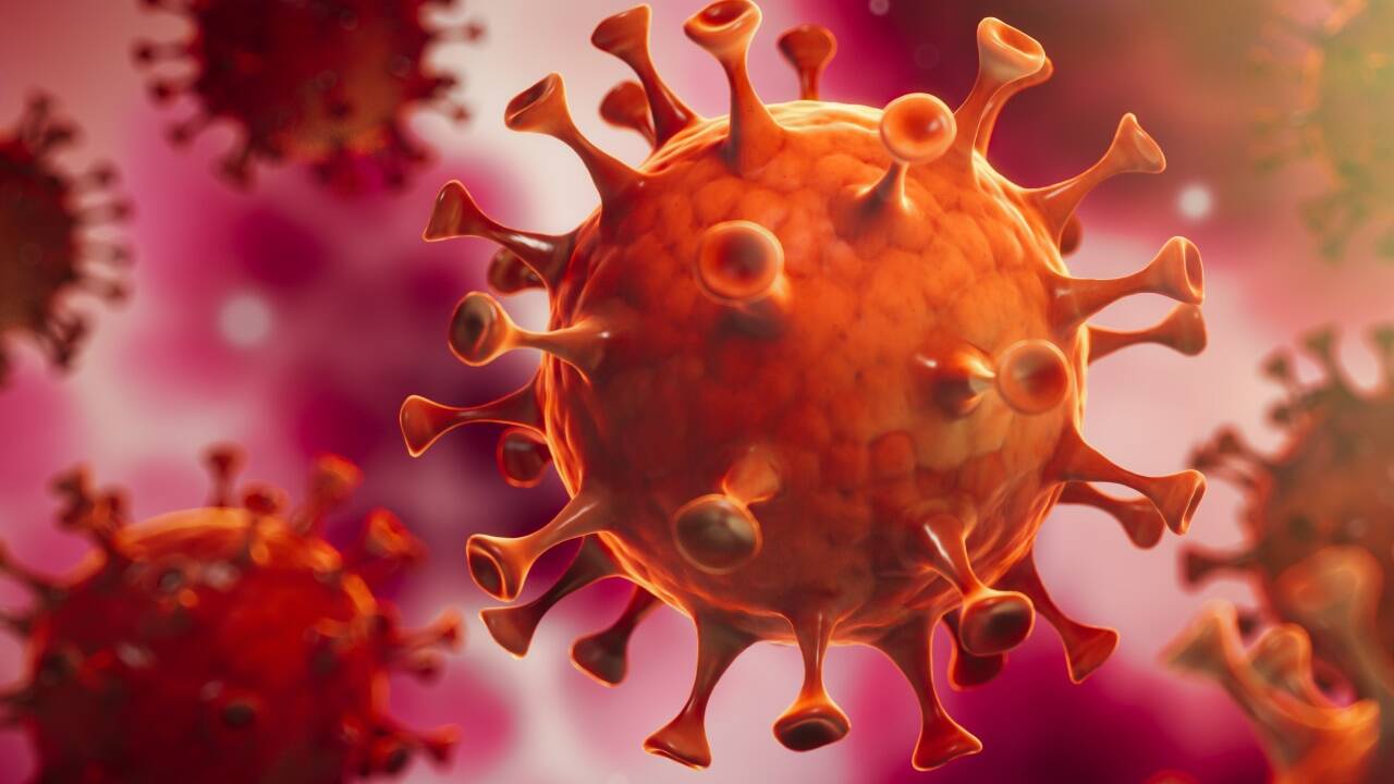 Influenzaviren sind ähnlich gefährlich wie der Coronavirus. Influenzaviren sind ähnlich gefährlich wie der Coronavirus.