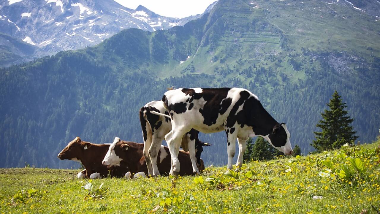 Lebensraumverluste für fast zwei Drittel der Arten zu befürchten 