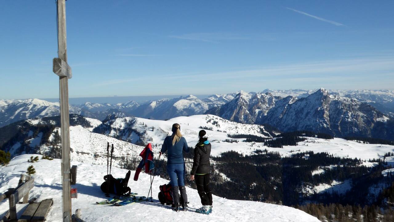 Am Pitschenberg mit Blick Richtung Wieslerhorn.  