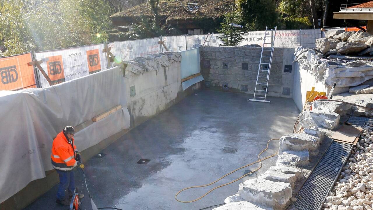 Letzte Arbeiten für das Schwimmbecken, das künftig die Pinguine bevölkern werden.  