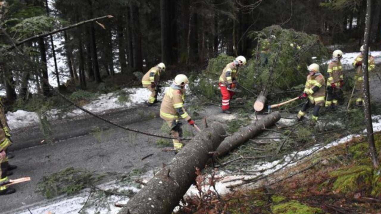 Mit Hilfe von Kettensägen zerkleinerte und entfernte die FF Abtenau die Bäume. 