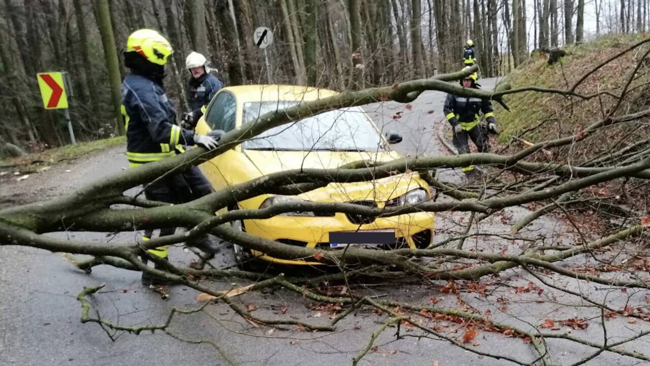 In Niederösterreich hat es am Dienstag, 4. Februar 2020, vorerst etwa 200 sturmbedingte Feuerwehreinsätze gegeben. 850 Mann waren ausgerückt. Im Bild: Einsatzkräfte der Feuerwehr bei Aufräumarbeiten in Amstetten.  