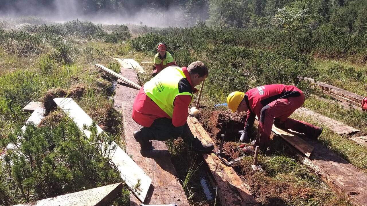 Die Österreichischen Bundesforste errichten für die Renaturierung Spundwände aus Lärchenholz, die in den Boden gesteckt werden.  