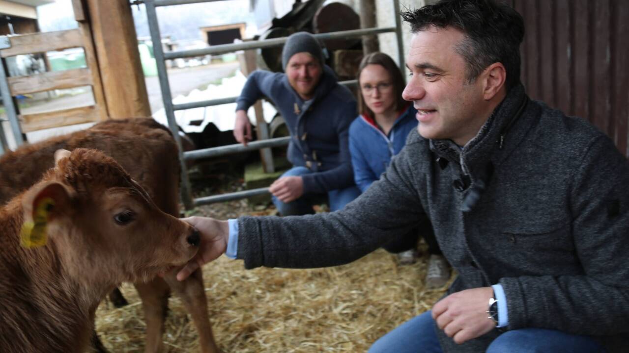 Quehenberger: „Aufseiten der Landwirte besteht großes Interesse an dem Kälberprojekt – sie wollen nicht, dass ihre Tiere durch Europa reisen müssen.“  
