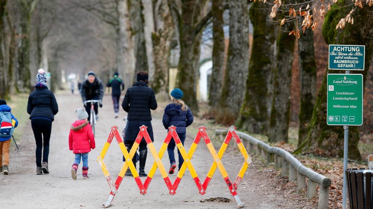 Der Magistrat ließ Montag früh dieses Sperrgitter in der Hellbrunner Allee in Salzburg aufstellen. 