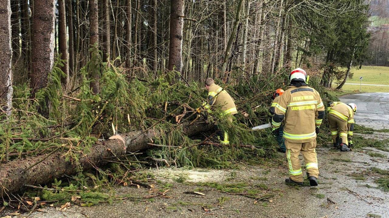 Umgestürzte Bäume: Die Feuerwehr Lamprechtshausen im Einsatz.  
