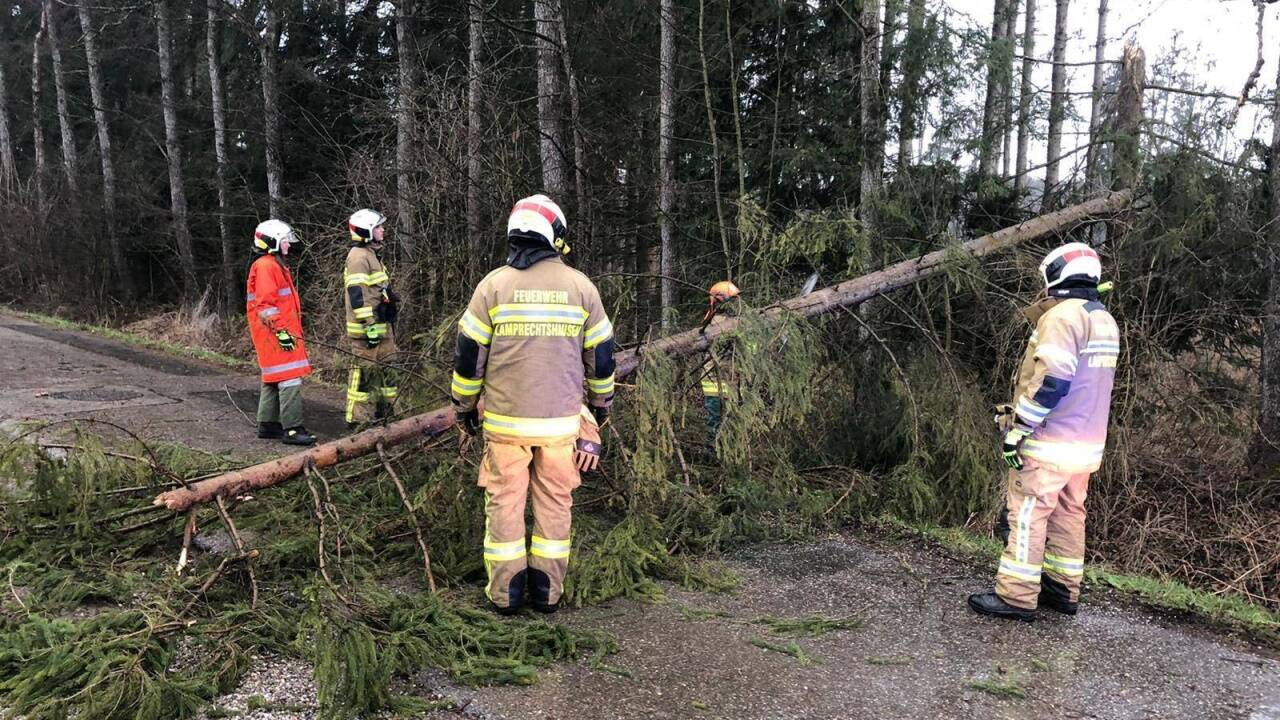 Umgestürzte Bäume: Die Feuerwehr Lamprechtshausen im Einsatz.  