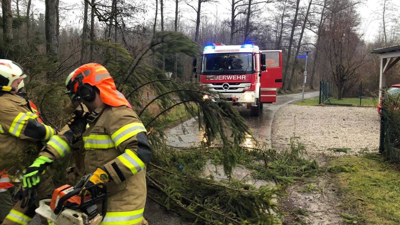 Umgestürzte Bäume: Die Feuerwehr Lamprechtshausen im Einsatz.  