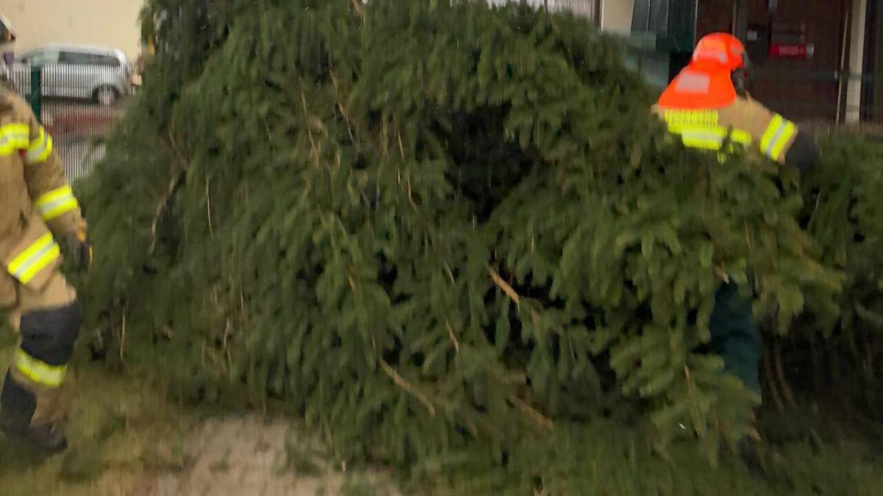 Umgestürzte Bäume: Die Feuerwehr Lamprechtshausen im Einsatz.  