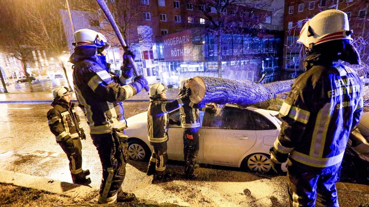 Sturmschäden durch umgestürzten Baum in der Ignaz-Härtl-Straße in Salzburg. 