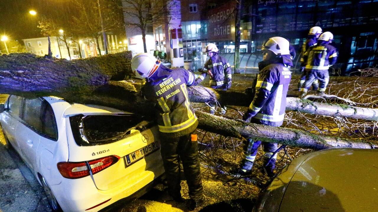 Sturmschäden durch umgestürzten Baum in der Ignaz-Härtl-Straße in Salzburg. 