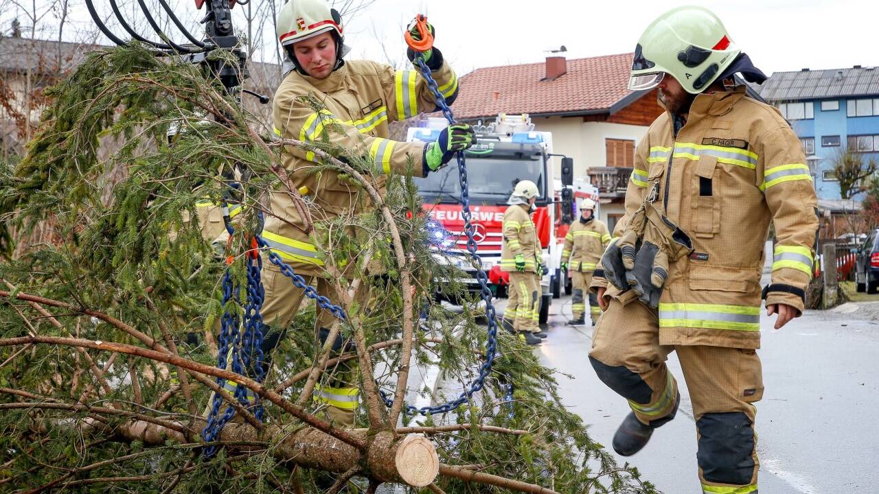 Der Baum wurde zerteilt und mit einem Kran geborgen. 