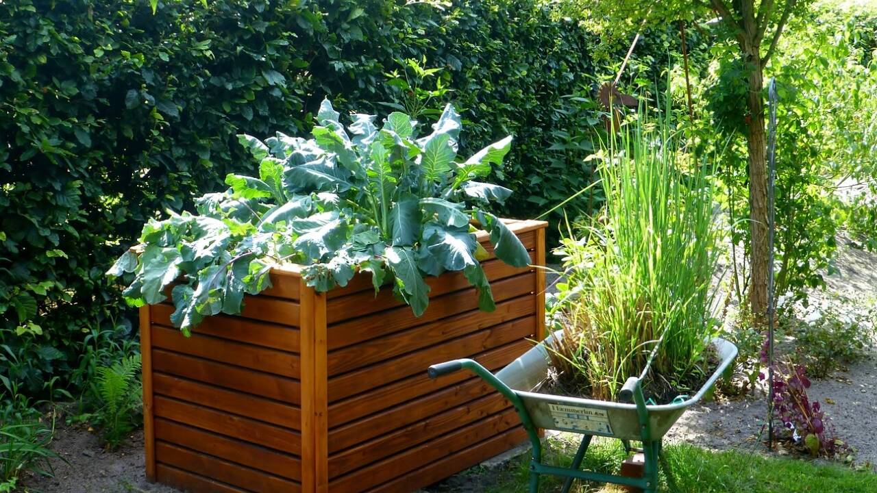 Das Holz-Hochbeet kann selbst gebaut oder im Fachmarkt gekauft werden. 