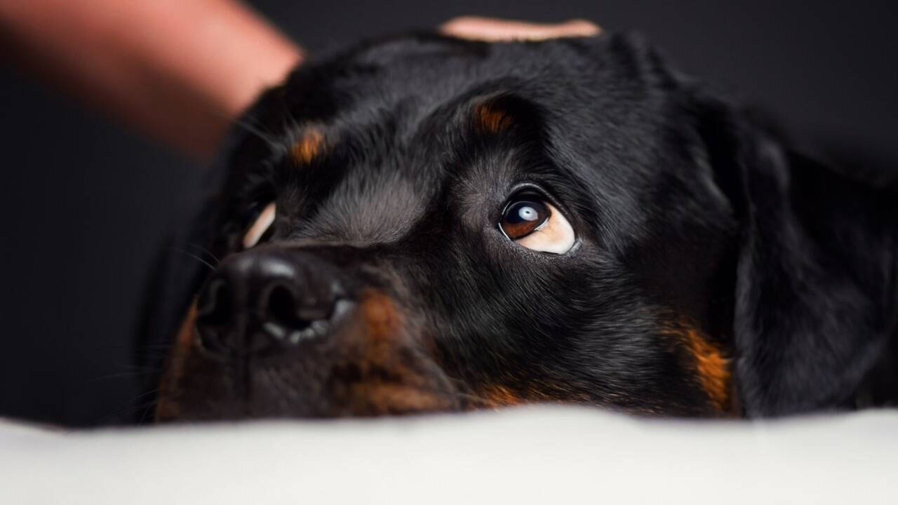 Symbolbild.  Symbolbild.