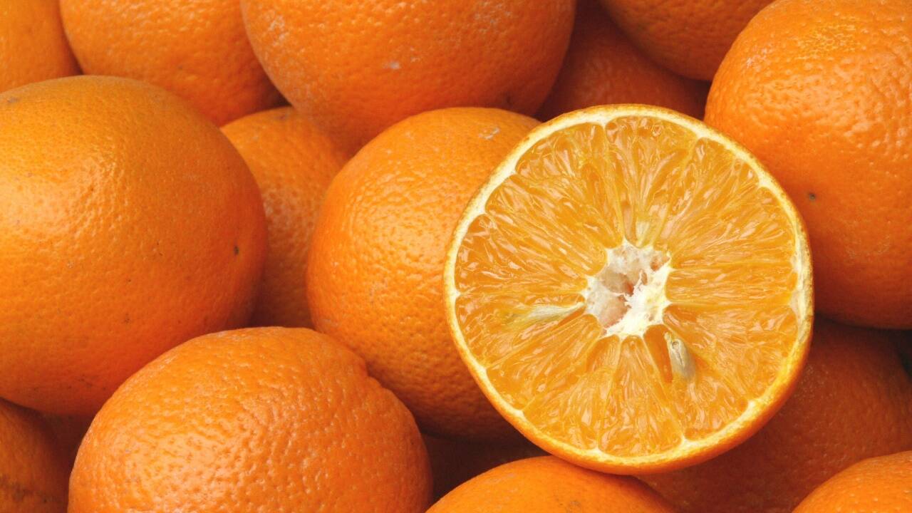 Orange ist eine optimistische, fröhliche Farbe. Auch für das Immunsystem. 