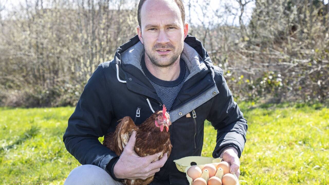 Christoph Buttenhauser aus Obertrum macht sich große Sorgen um die wirtschaftliche Situation der Geflügelzüchter und Eierbauern in Salzburg. 