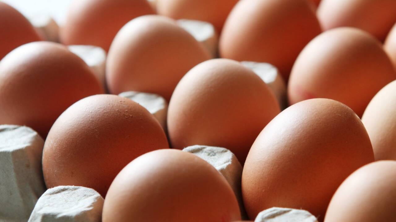 Unser Landhat Eier – und Milchseen 