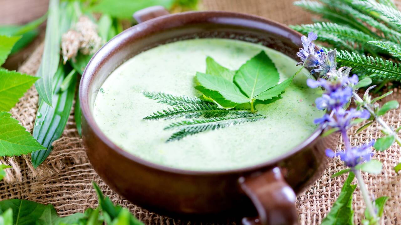 Der Herr lässt Kräuter für uns wachsen Der Herr lässt Kräuter für uns wachsen