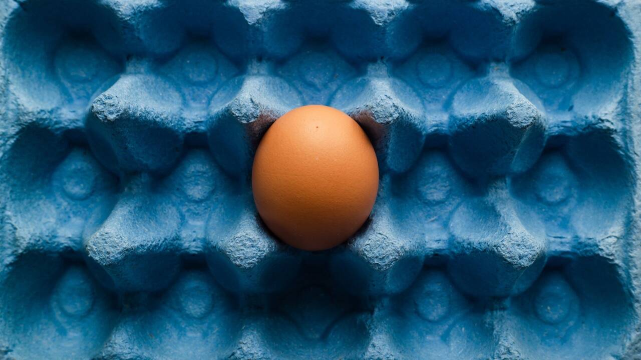 Einfache Rezepte um die Überbleibsel vom Osterfest schmackhaft zu verwerten. 