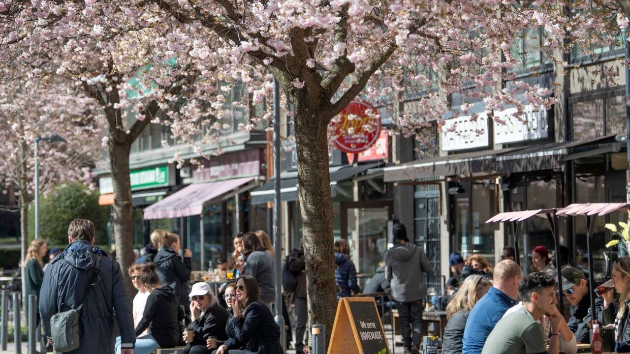 In Stockholm ähnelt das Leben nach wie vor der Vor-Corona-Zeit. 