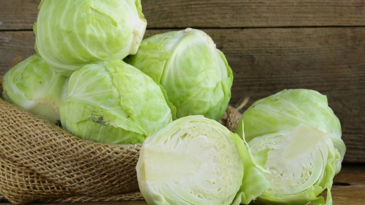 Unser Weißkraut: Ein stiller Star mit lautem Abgang 