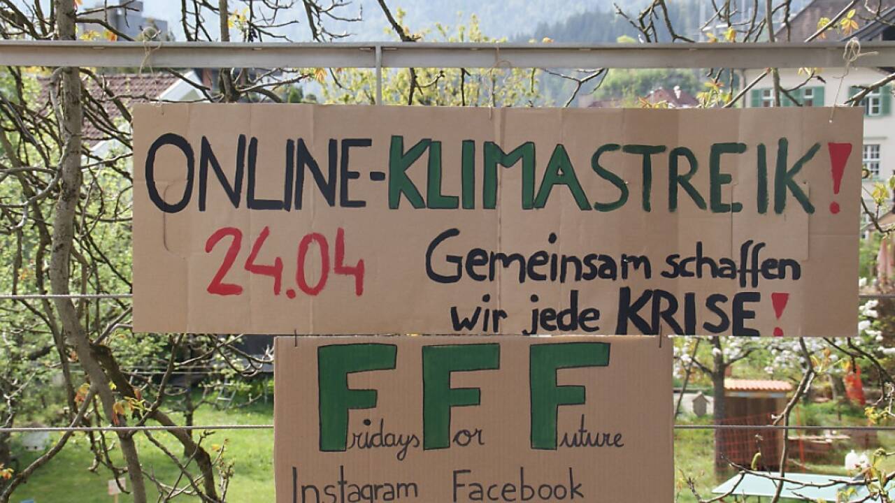 Hinweisschild auf den globalen Online-Klimastreik 