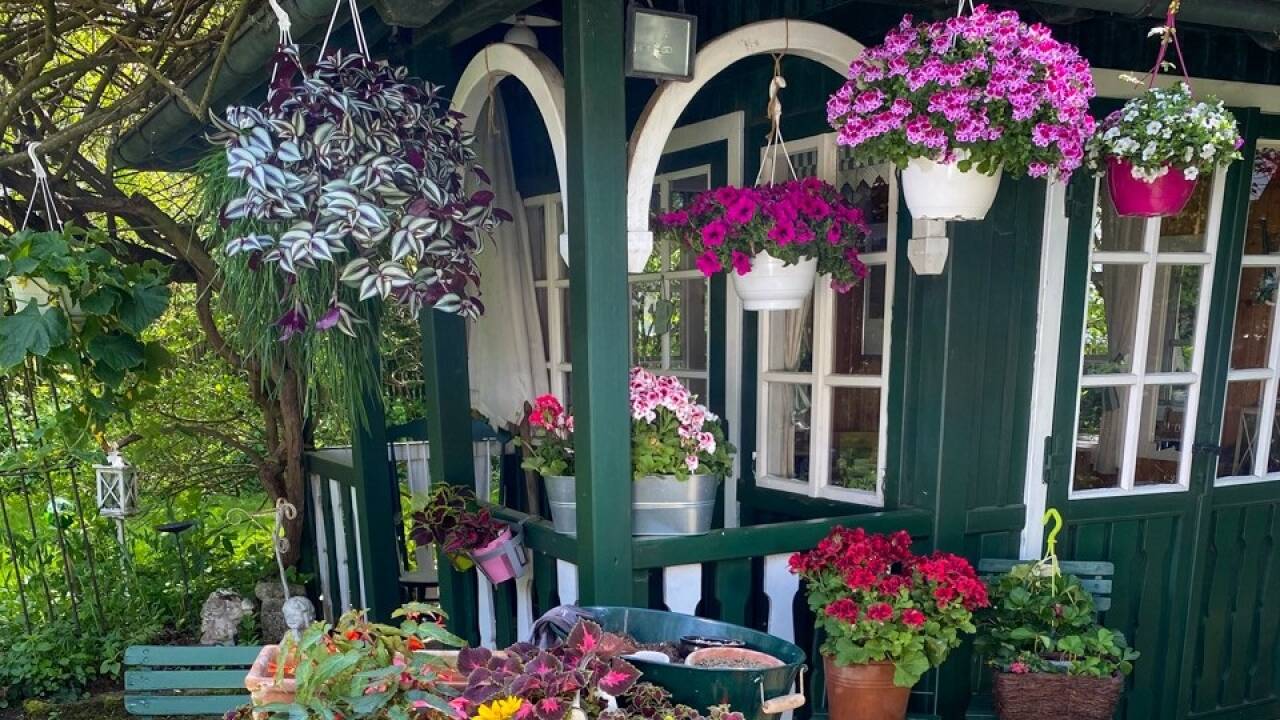  Bunte Vielfalt im „Hotel“-Garten in Coronazeiten.ploberger 