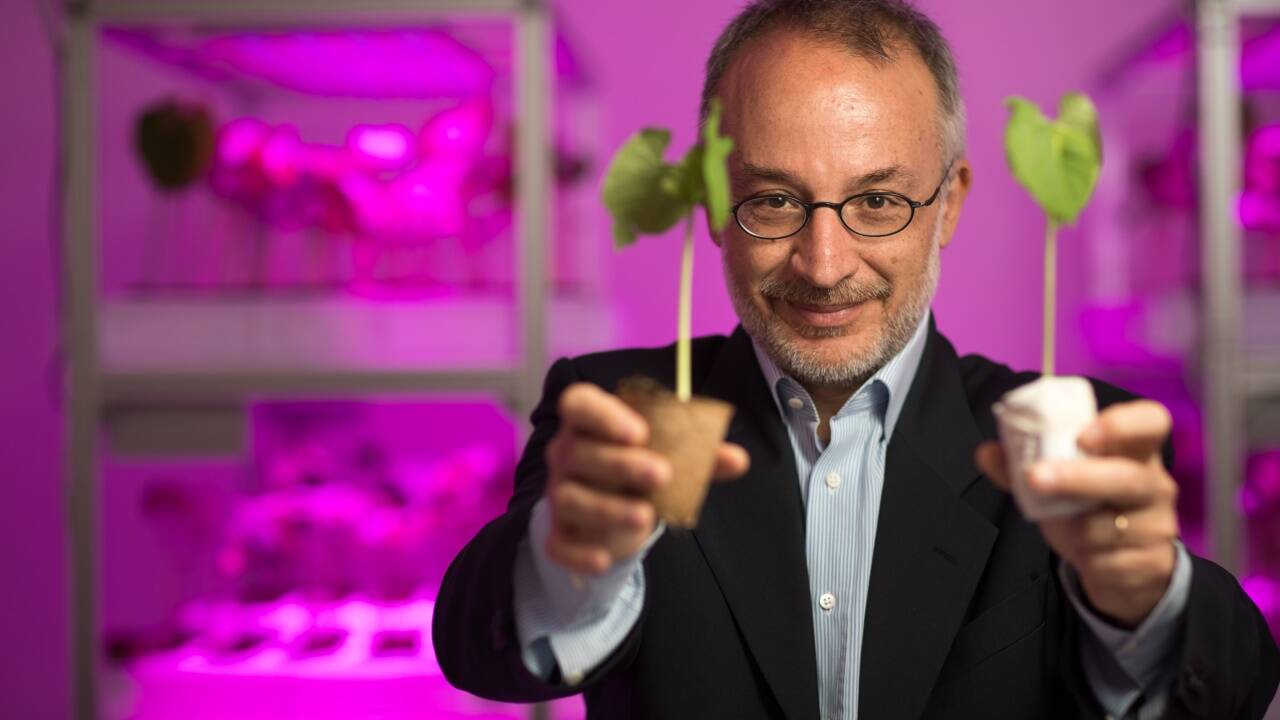 Stefano Mancuso ist Neurobiologe und Bestseller-Autor. Er lehrt an der Universität Florenz. 