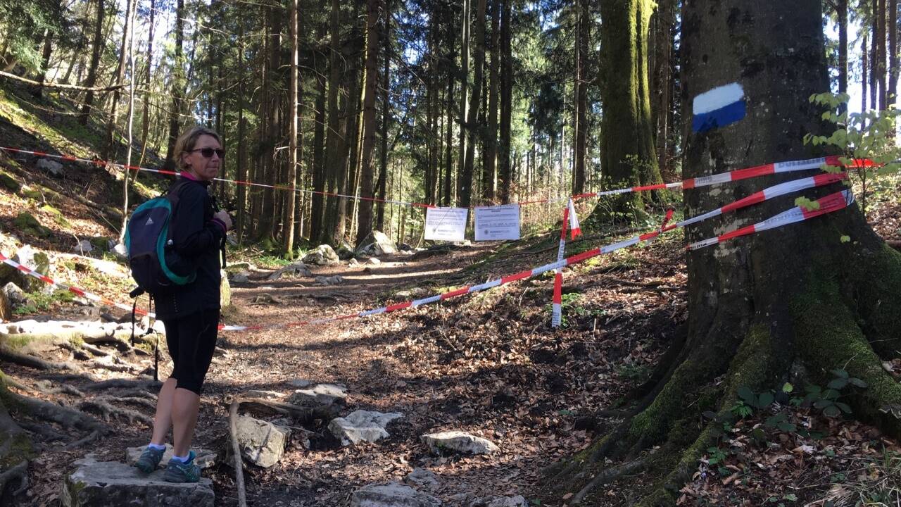 Über diesen Waldweg zum Barmstein verläuft die Staatsgrenze zu Deutschland. Wer die Absperrbänder ignoriert und beim Übertritt erwischt wird, zahlt viel Geld. Über diesen Waldweg zum Barmstein verläuft die Staatsgrenze zu Deutschland. Wer die Absperrbänder ignoriert und beim Übertritt erwischt wird, zahlt viel Geld.