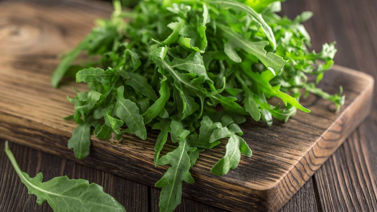 Rucola für Laibchen und Seele Rucola für Laibchen und Seele