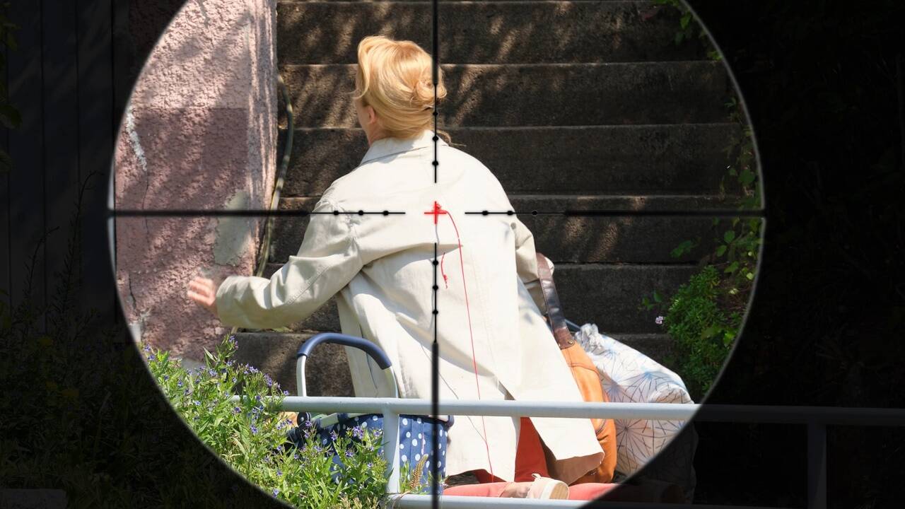 Als Elisabeth Vogel nach Hause kommt, wird sie ohne Vorwarnung erschossen.  Als Elisabeth Vogel nach Hause kommt, wird sie ohne Vorwarnung erschossen.